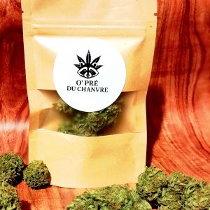 Pack Découverte 8 variétés